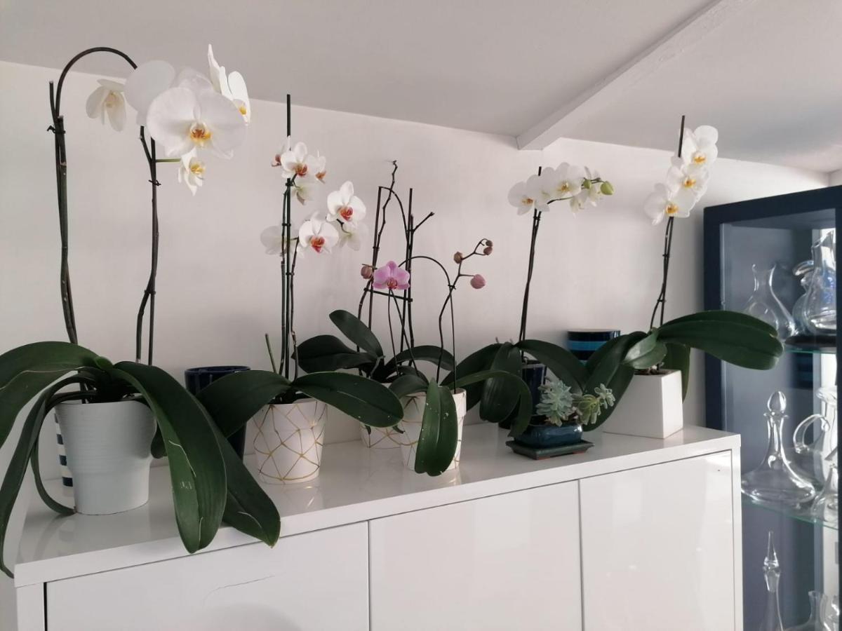 Domaine Des Deux Rivieres Bed & Breakfast Meilhan-sur-Garonne Dış mekan fotoğraf