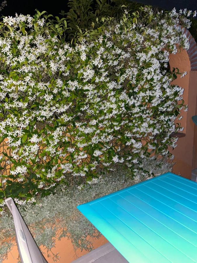 Domaine Des Deux Rivieres Bed & Breakfast Meilhan-sur-Garonne Dış mekan fotoğraf